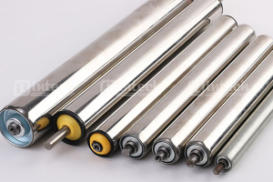 chon mua con lan o mien bac