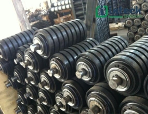 kich thuoc con lan giam chan