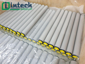 tim hieu cac loai con lan nhua