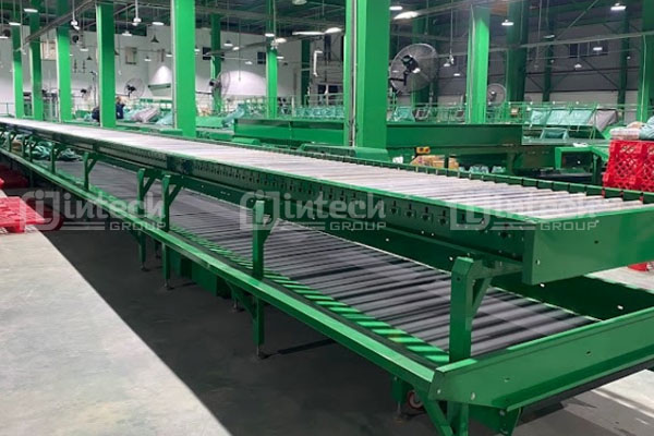 Băng tải thẳng hai tầng