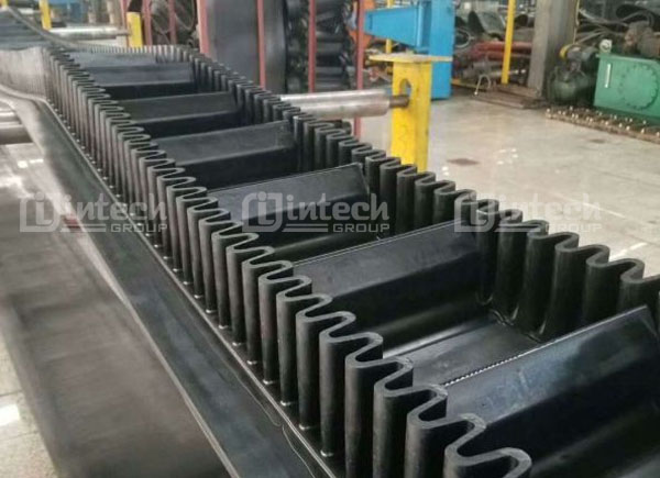 Băng tải cao su tai bèo