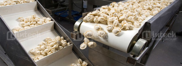 Băng tải cấp liệu dùng trong ngành thực phẩm