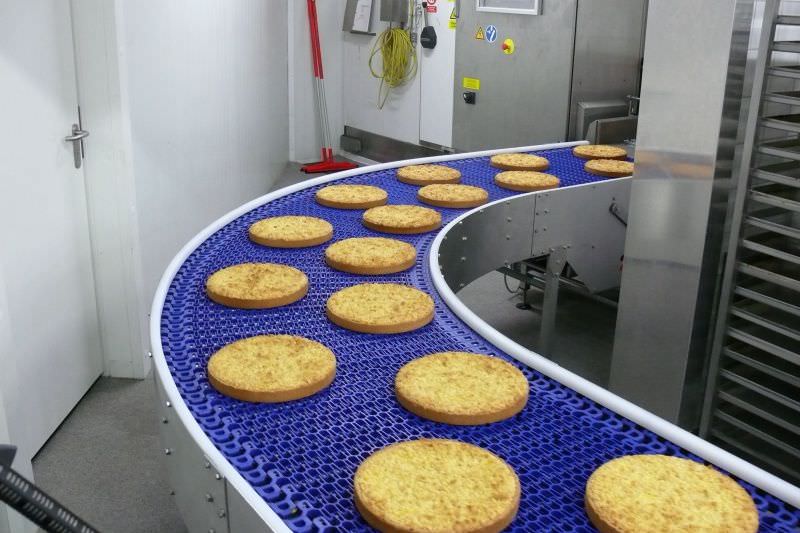 Băng tải thực phẩm