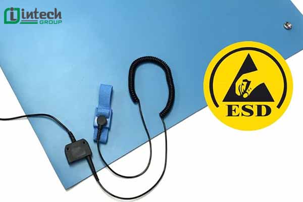 Lịch sử hình thành của ESD